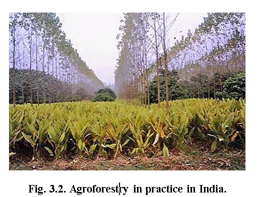types of soil conservation in india